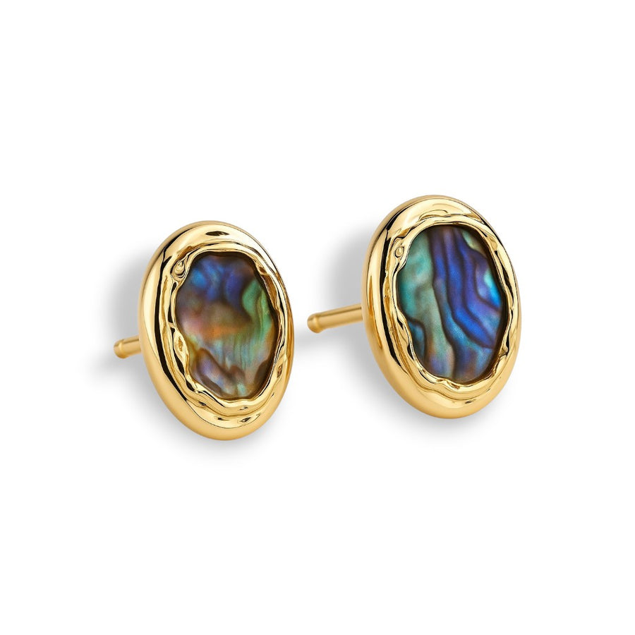 Shell Earrings with gold-tone design and shell detail on white background